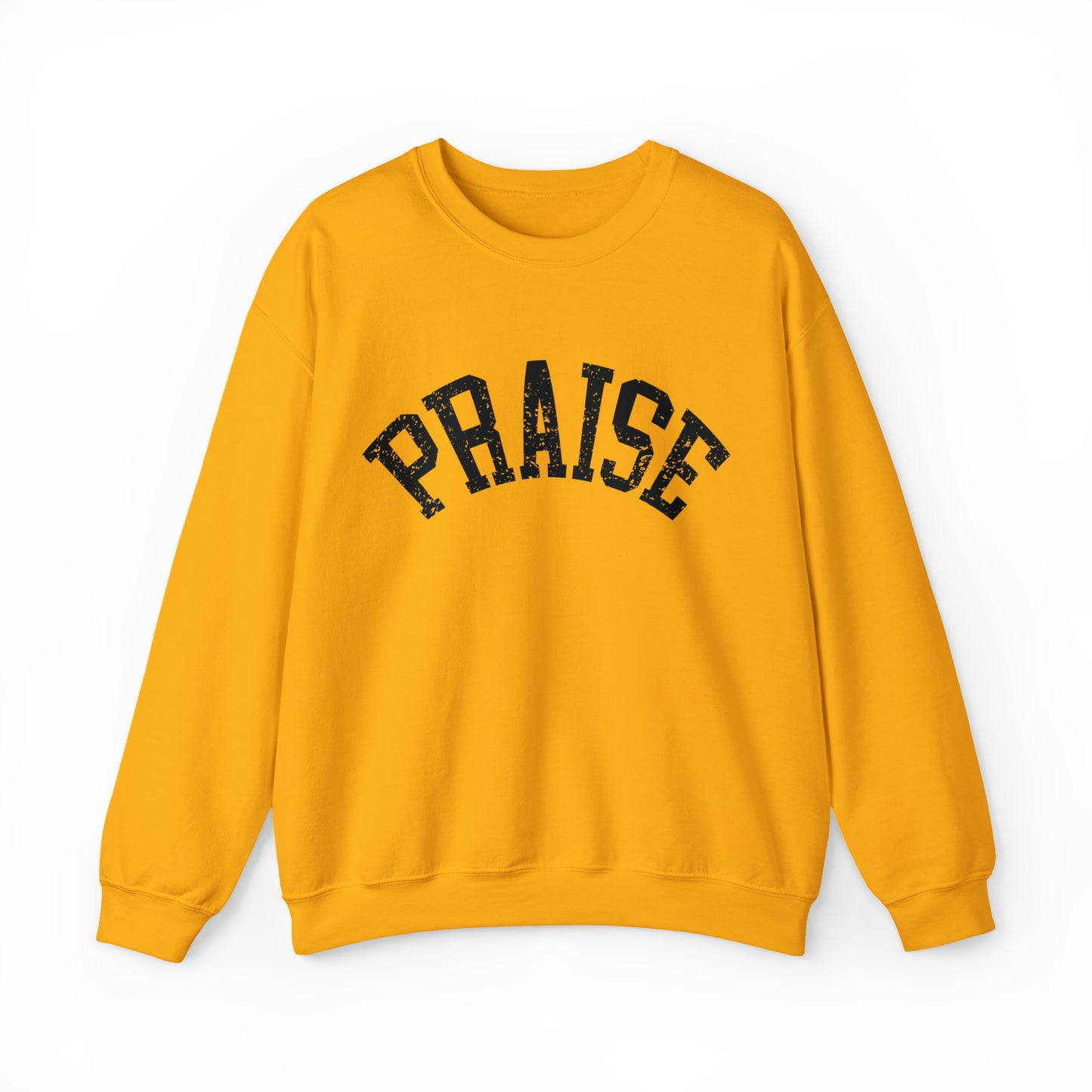 Praise Made to Worship Sweatshirt, Christian Crewneck, Faith over Fear