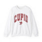 Fade Vintage Cupid Sweatshirt Bow and Arrow Cherub Crewneck Valentines Day Pullover for Women